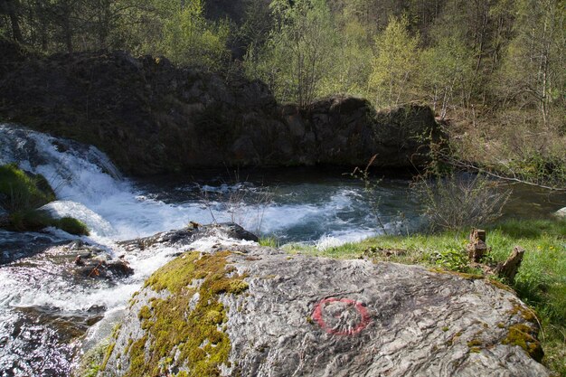 Foto un ruscello che scorre tra le rocce della foresta