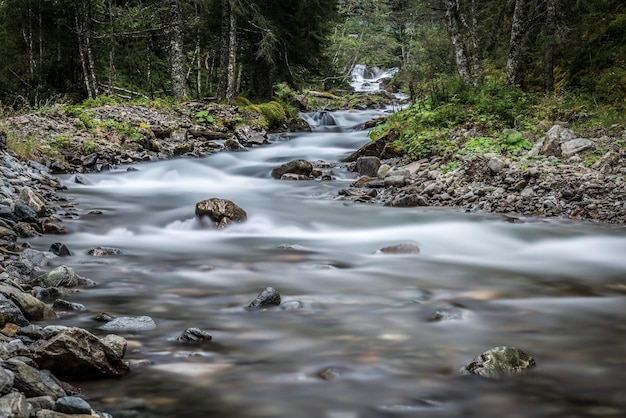 stream flowing through rocks in forest