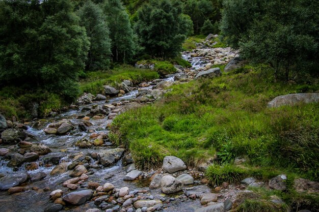 Photo stream flowing through rocks in forest