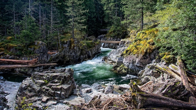 Stream flowing through rocks in forest