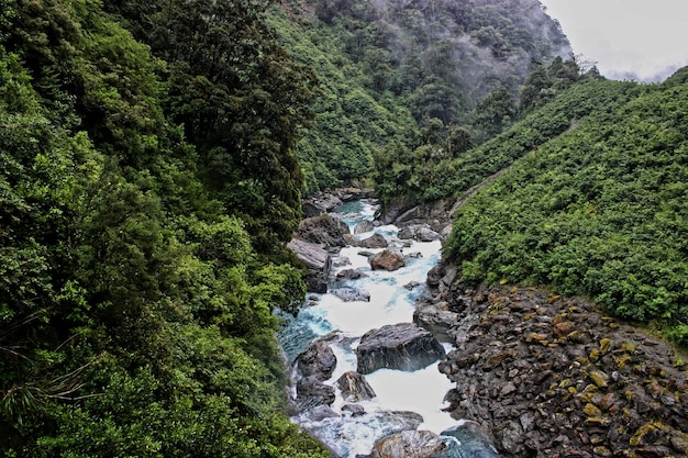 Stream flowing through rocks in forest