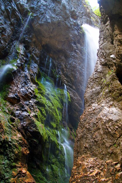 Stream flowing through rocks in forest