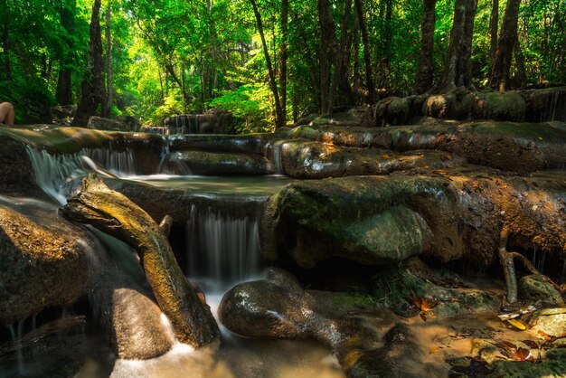 Photo stream flowing through rocks in forest