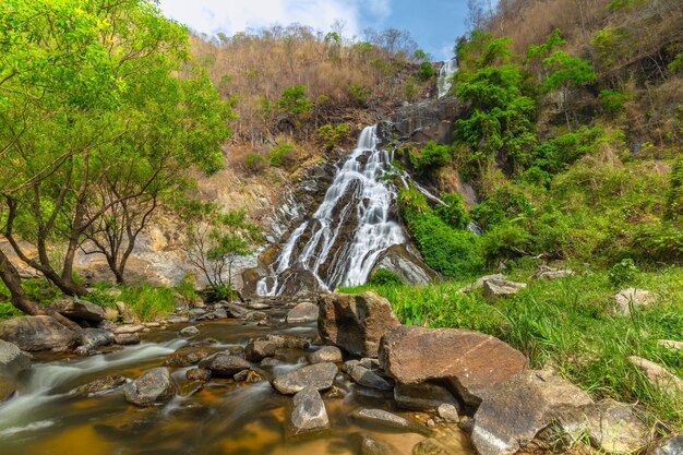 Stream flowing through rocks in forest