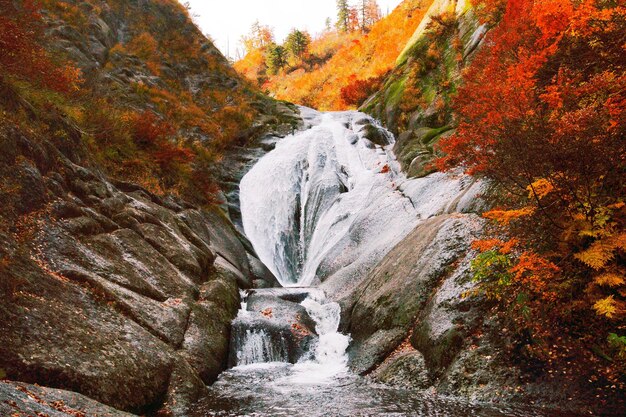 写真 秋の森の岩を流れる小川