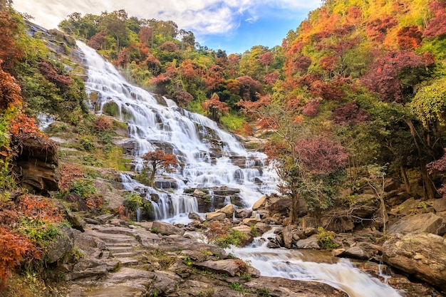 写真 森の岩の中を流れる流れ