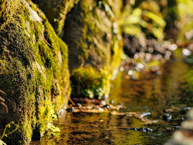 Photo stream flowing through rocks