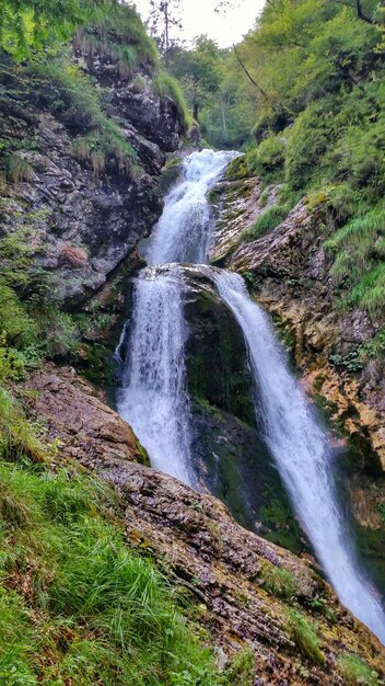 Stream flowing through rocks