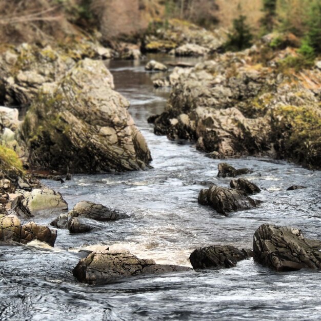 Foto un ruscello che scorre tra le rocce