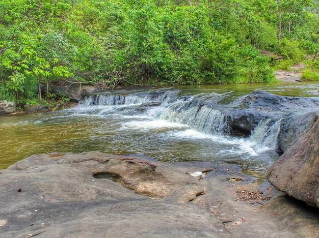 Stream flowing through rocks