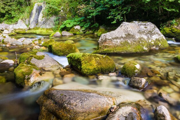 Stream flowing through rocks