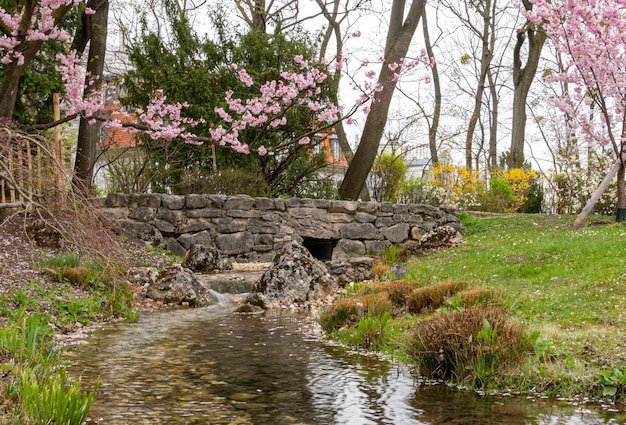 Stream flows in the park at spring time