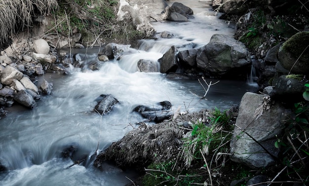 A stream in the forest with rocks and water