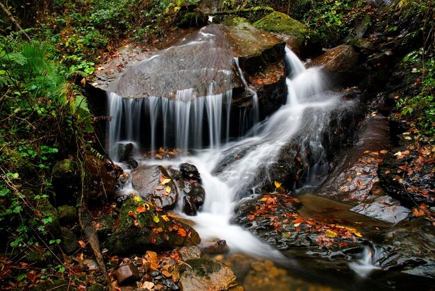 Stream in the Gorbeia Natural Park. Basque Country. Spain