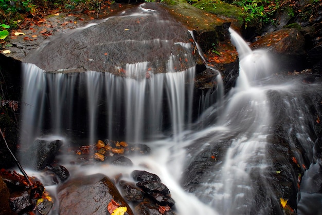 Stream in the Gorbeia Natural Park. Basque Country. Spain