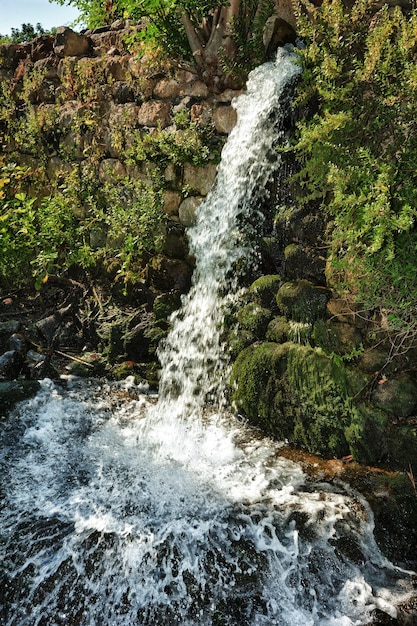 Фото Ручей в горах