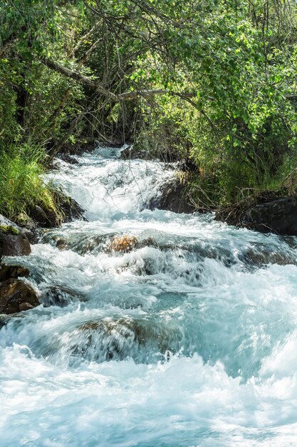 stream of a mountain river