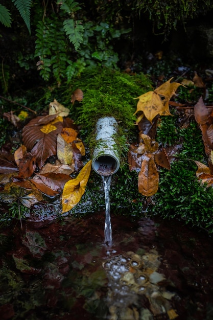 A stream of water is flowing from a pipe.