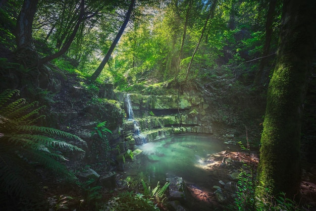 Stream waterfall inside a forest Chianni Tuscany Italy