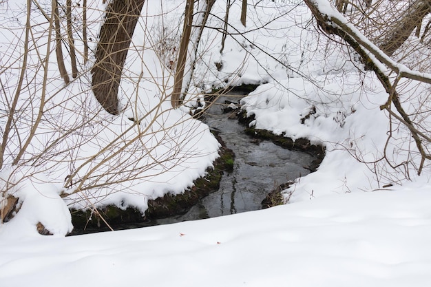 Поток в зимнем лесу среди снега и голых деревьев