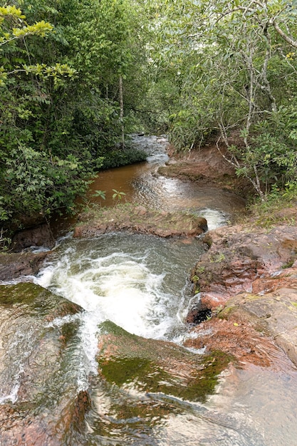 Stream with rocks in nature