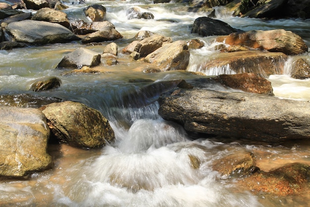 Stream with stone 