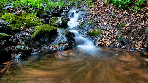 A stream in the woods with a green background and a small waterfall in the foreground