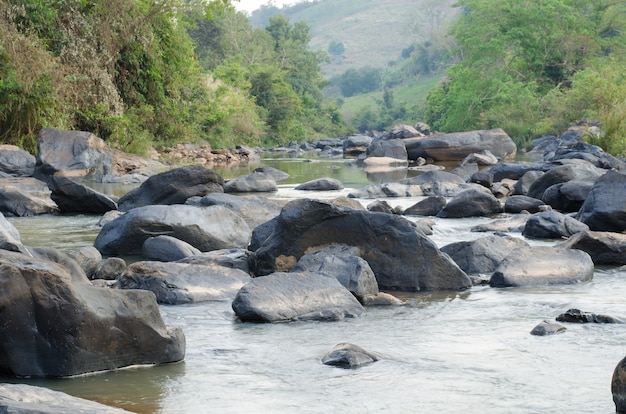 streamlet in rainforest ,Thailand 