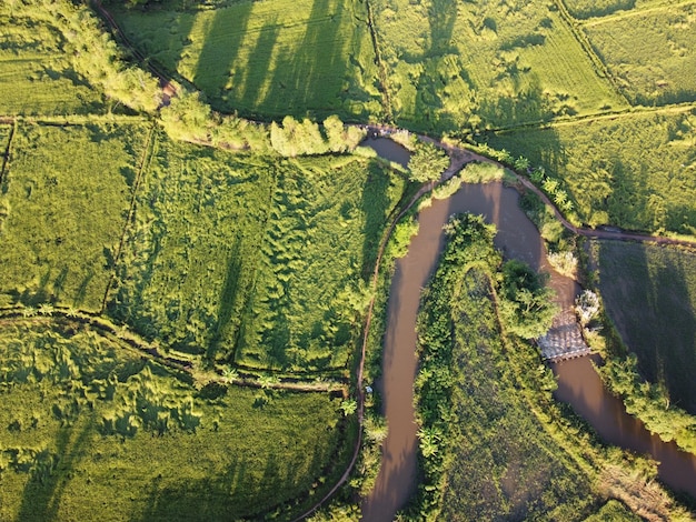 I torrenti si snodano nelle aree agricole durante la stagione delle piogge con molta acqua. verde e caldo al sole mattutino.