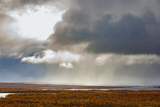 Photo streams of rain from the clouds over the tundra in autumn.