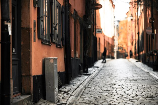 Street amidst residential buildings