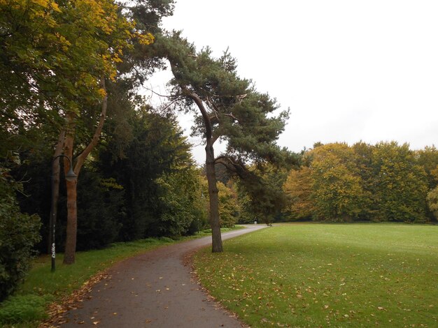 Street amidst trees against sky during autumn