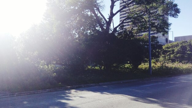 Street amidst trees against sky