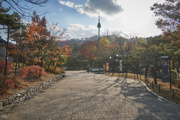 Photo street amidst trees and buildings against sky