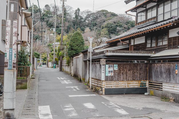 町の木や建物の中の通り