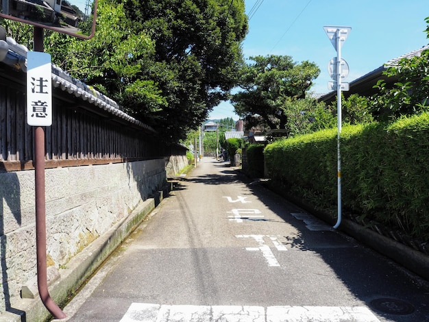 Photo street amidst trees and plants in city