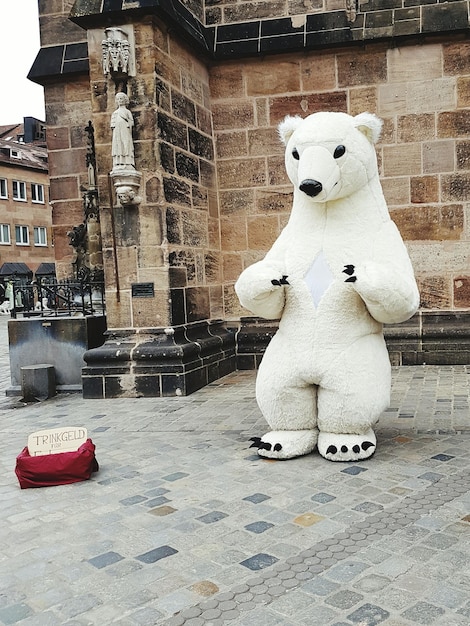 Photo street artist wearing bear costume standing on footpath by historic building