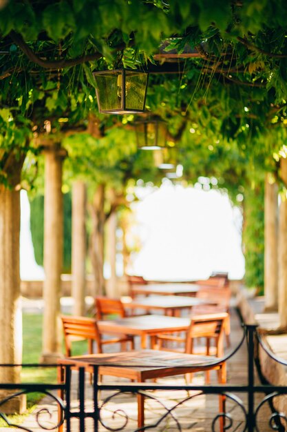 Caffè di strada in montenegro