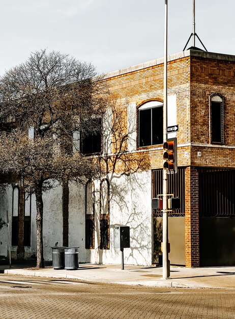 Street corner with shadows of branches on building