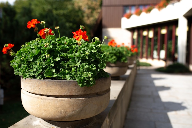 Street decorated with concrete flower beds. Space for text