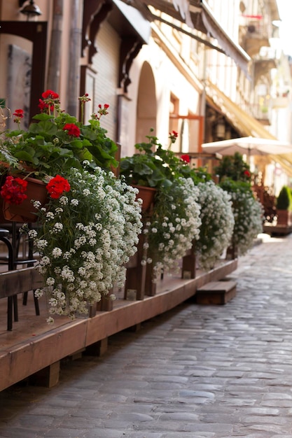 Street decoration cafe with flowers