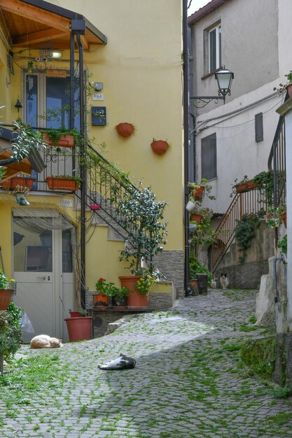 Foto una strada a gambatesa, un villaggio medievale nel molise, in italia