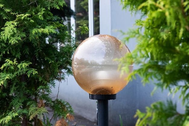 Street lamp in the form of a ball among green leaves