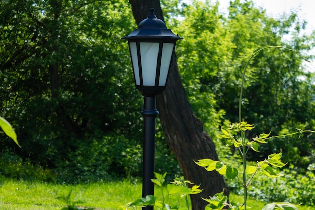 Street lamp on a green background Picture in vintage style with an old street lamp in the park