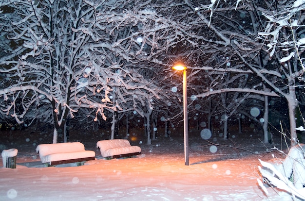 Photo street lamp post light between snowy trees and benches in park.snowing at night