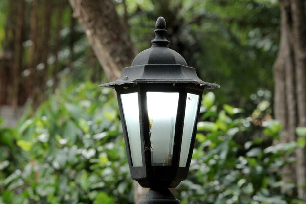 Street lamp in the rock garden.