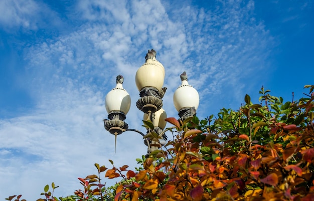 Premium Photo | A street lamp with the word light on it