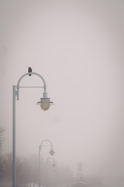 Foto luce di strada contro un cielo limpido