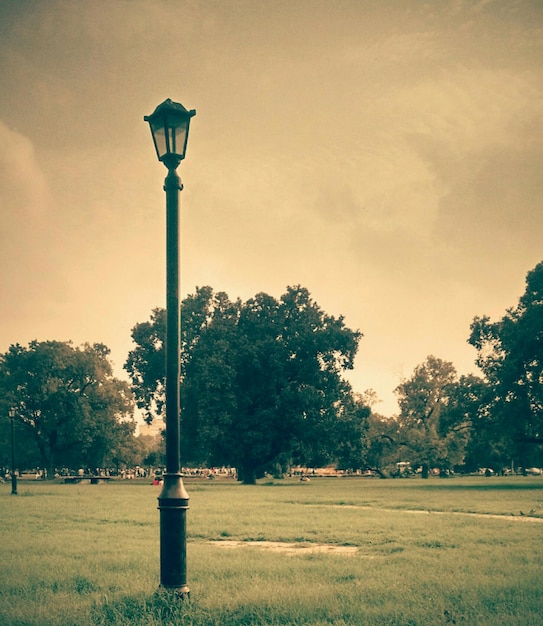 Photo street light in park against sky