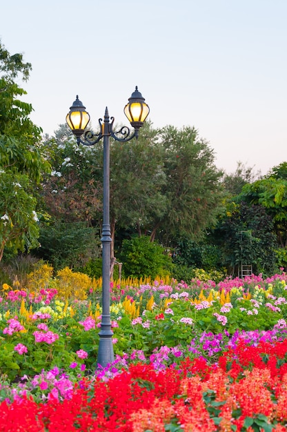 Illuminazione stradale di lanterne nel parco con fiori